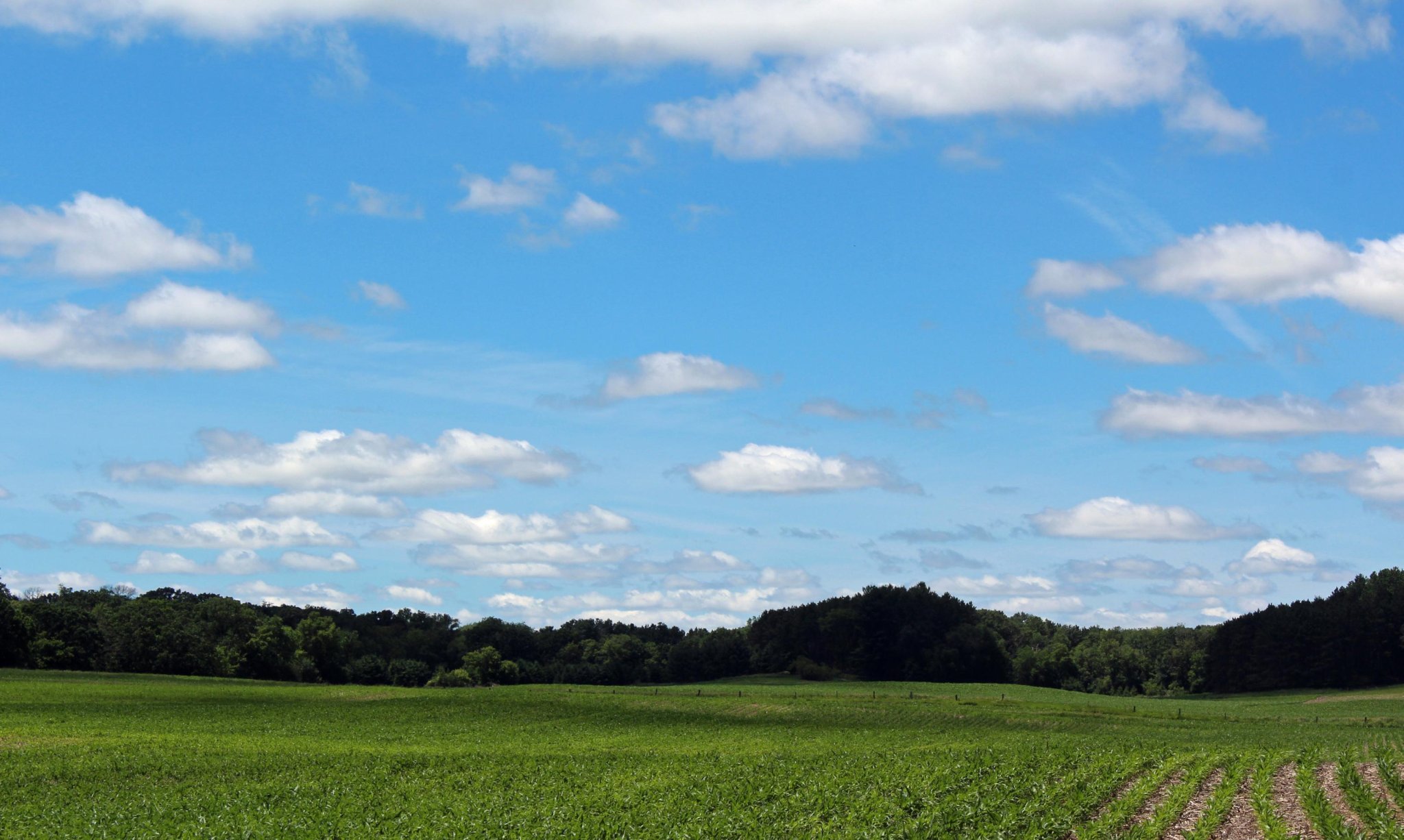 Działka Kraków, Jelenia — zdjęcie 1 z 5