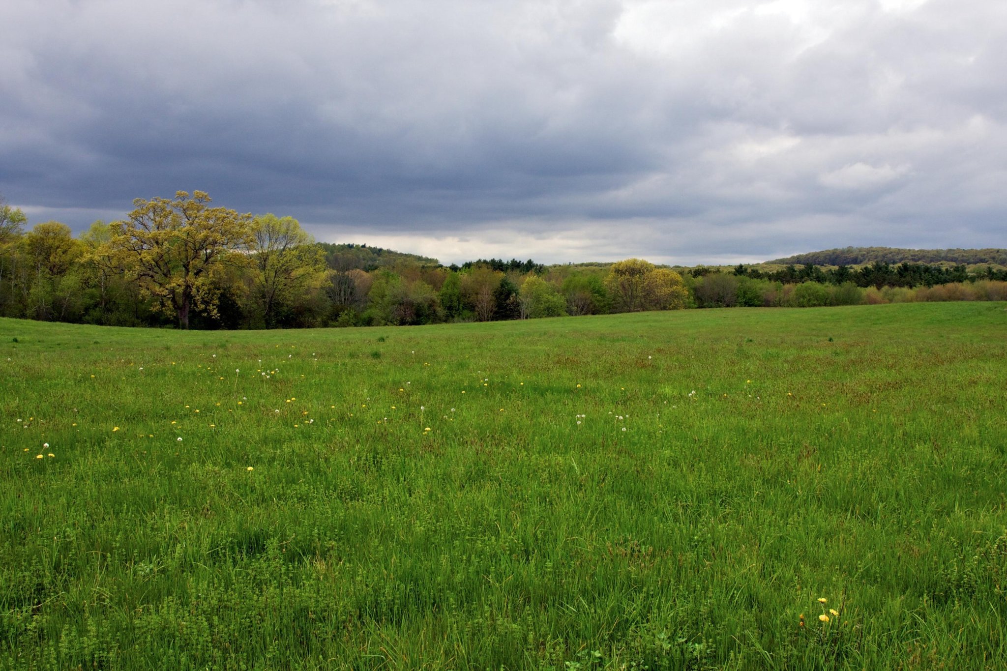 Działki — zdjęcie poglądowe