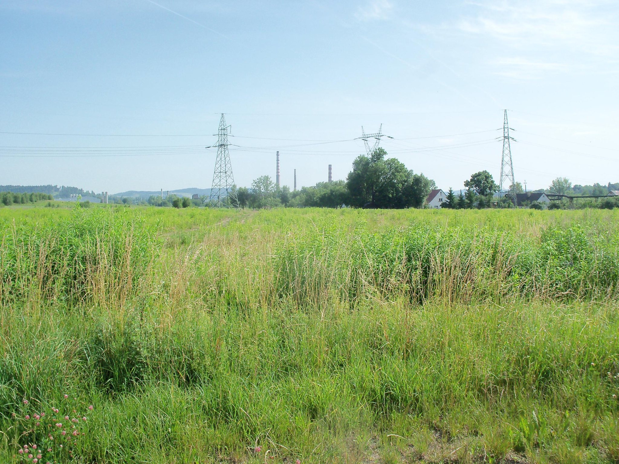 Działki — zdjęcie poglądowe